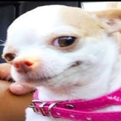 SaraVM197's profile picture. 