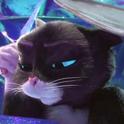 GarfsBalls's profile picture. 🔞 account of @yeet_papa minors stay out. 21 mostly retweets and yearning because what else is there to do