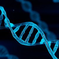 Zong Lab (@zonglab) 's Twitter Profile