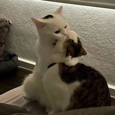 wydvoy's profile picture. 20y old web3 dev & crypto trader | me german mf