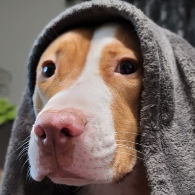 CryptoKeeperTA's profile picture. Small cap setups to get your bread up! #Bitcoin $DAG $HTR $RSR $LTX HTR NFT's  Chartist, Gem Hunter | Bred in a Bear Market