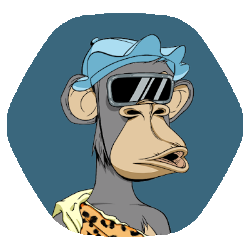 toutetofeyal's profile picture. Wanna see you succeed!