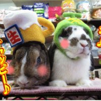 ミュウツー(みゆ) (@chapioremiyu) 's Twitter Profile
