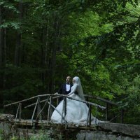 Ramazan Gönülce (@ramazangonulce) 's Twitter Profile