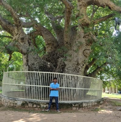 vipingavit8's profile picture. Doctorate in chemiatry