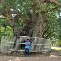 vipingavit (@vipingavit8) 's Twitter Profile