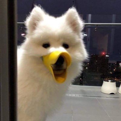 น้องCANDY • 🍔 ྀིྀིྀིྀིྀིさんのプロフィール画像