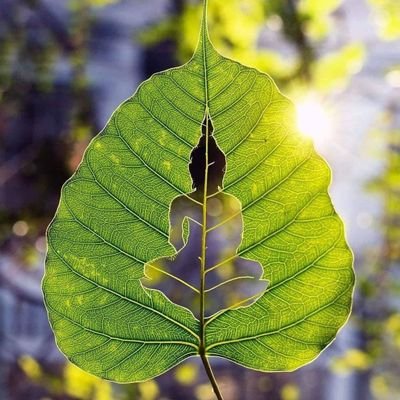 GauravS45333453's profile picture. .....