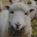 Leeona Augustson (@AugustsonLeeona) Twitter profile photo Leeona Augustson (@AugustsonLeeona) Twitter profile photo