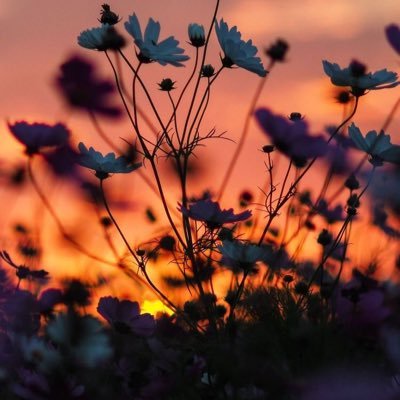 Leemarhabux's profile picture. 