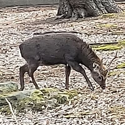 自分が読んだ本の読書感想をつぶやきます。
批判ではなく面白さ・読みやすさを書いて紹介していけたらと思います。
オススメの本があれば教えて頂けると幸いです。