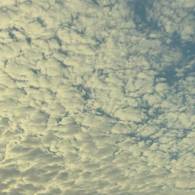 لك عقلك ولي عقلي،ومن الأداب احترام العقول