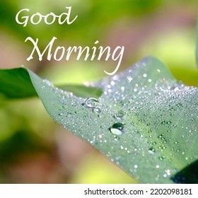 IntanBerry3's profile picture. I love you so much