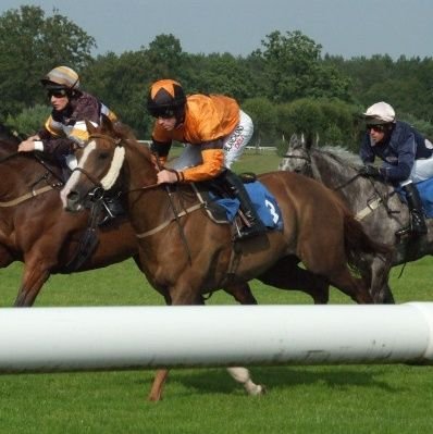 Horse Racing and football fan, , love a bet and getting one over on the bookies. Also follow Plymouth Argyle