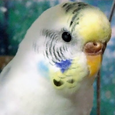 lSmLj3hnSHrnEon's profile picture. 丹後とFAKY を愛してます ♥️