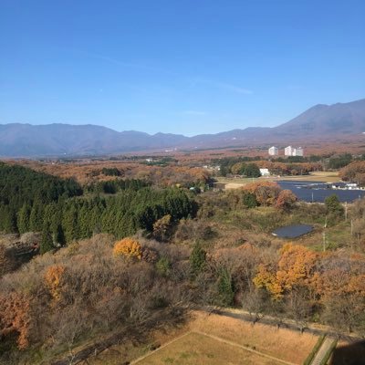 浦和レッズ/YOASOBI/ケツメイシ/旅行/クラフトビール