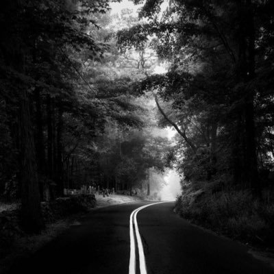 aljahel11's profile picture. في عيد ميلاد جرحي،،، غنو احبابي..