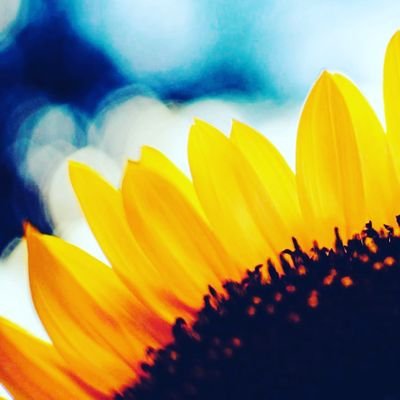 ken98526094's profile picture. 写真、食べ歩きが趣味です。😄
気になった風景や心に響いた瞬間を撮影しています。時々更新しますのでよろしくお願いします！🙇

  
                ⛔儲かる系、怪しい副業・FX等興味ありません❗❗❗🙅