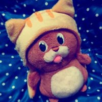 たなっと (@_tanat_t) 's Twitter Profile Photo