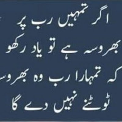 khhgfrrtrrtt's profile picture. Online Earning | IT Expert | Earning Courses | X | Poetry Lover.