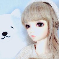 あらき@ドール垢(@Doll033101) 's Twitter Profile Photo