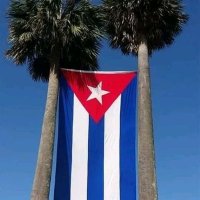 CubaFarafenni(@CubaFarafenni) 's Twitter Profile Photo
