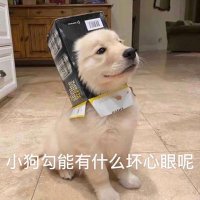 梅梅老爹. (@2679186682qq) 's Twitter Profile