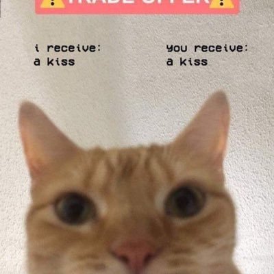 VickDessine's profile picture. FR/ANG | Artiste askip @YoMoiCVick