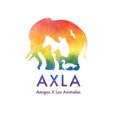 Trabajamos muy duro para que lo único que les falte con nosotr@s sea encontrar un hogar. Protectora de animales. 

✉️adopciones@axlamadrid.org