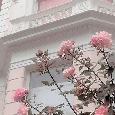 #𝗕𝗔 💌 heloww && welcome (🍞) to yeornie-cafe!! hehe, i hope with the help of yeons cooking u can find what u're looking for! 👩🍳
dm/wa/@.wonjooyul (tele)