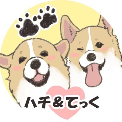 コーギーハチ🐝ʚ😇ɞとてっく🐶🐾♂とかあちゃんです！
ハチ🐝がリンパ腫を発症してしまい2019.7.24(5歳7ヶ月)お空組🌈になりました😭
泣いてばかりだったけど元気なてっく🐶🐾(2019.8.9生)と出会って2020.1.6家族に迎えました🎵よろしくお願いします❣️