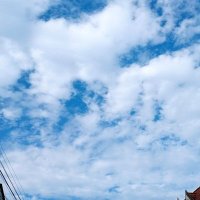 🐳 (@ekt_py) 's Twitter Profile