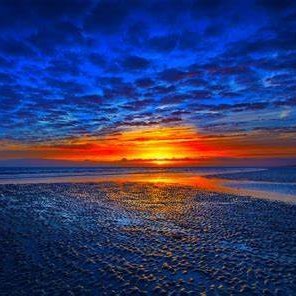 CIsleRBLX's profile picture. 