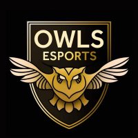 SWFC Esports ProClubs (@swfcesportseafc) 's Twitter Profile