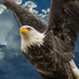 EAGLE (@koffemisran) Twitter profile photo EAGLE (@koffemisran) Twitter profile photo