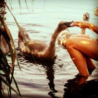 El-ke Ke (@keupelke) 's Twitter Profile