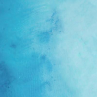lucas_gvv's profile picture. 