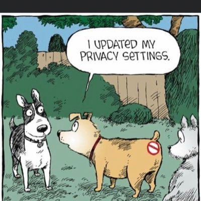 SteveHo31715562's profile picture. Co-host @FutureSickos