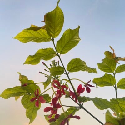 |طالبة علم🌾|. كَم آخشَى عليّ منْ حياة لآتقُودَنِي للجنهه♩