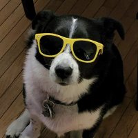 Gabriele Goldschmidt (@gabrielebrimav) 's Twitter Profile