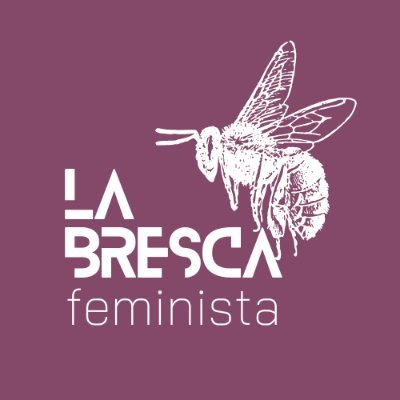 Espai de co-aprenentatge feminista des de la base, pel plaer de compartir i construïr. També cremem coses.
📧 info.labresca@gmail.com
📍 Vilanova i la Geltrú