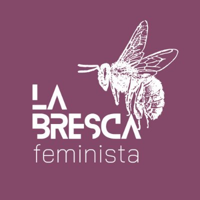 Espai de co-aprenentatge feminista des de la base, pel plaer de compartir i construïr. També cremem coses.

📧 info.labresca@gmail.com
📍 Vilanova i la Geltrú