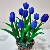 Rosalba Flores Sanchez (@rosalb_73) 's Twitter Profile