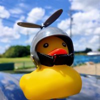 こまさん (@komasan_dayo_01) 's Twitter Profile Photo