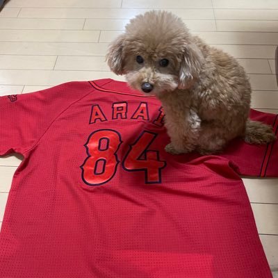 新井貴浩 家族一丸 トークショー 記念グッズ がんばろう広島』「新井貴浩さんとカープファンが家族一丸