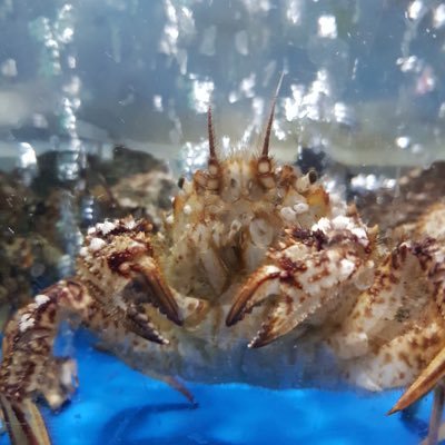 ducbae1004's profile picture.