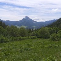 Souverain chez soi 🇲🇫🔳 (@souverain_franc) 's Twitter Profile Photo