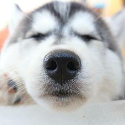 y__chnd's profile picture. |𝟣𝟫𝟫𝟩| #nanon_korapat #mynameisnanon 💙🪐💫 💚❤️#badbuddyseries