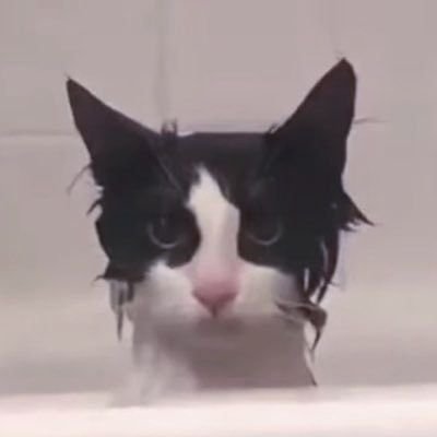 𝗜𝗡𝗗𝗬🌧さんのプロフィール画像