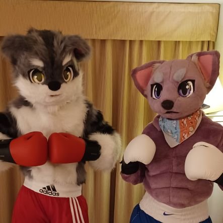 Vesper:♂️| Russian Blue | Orthodox boxer | A feline who loves ring fights.🥊
Coodinal :♂️| Shorthair | Sorcerer | Cheerful sorcerer but in rookie status.💫